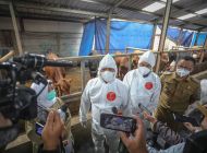Cegah PMK, Pemkot Bandung Lakukan Vaksin Terhadap 200 Hewan Ternak