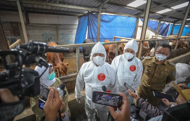 Cegah PMK, Pemkot Bandung Lakukan Vaksin Terhadap 200 Hewan Ternak