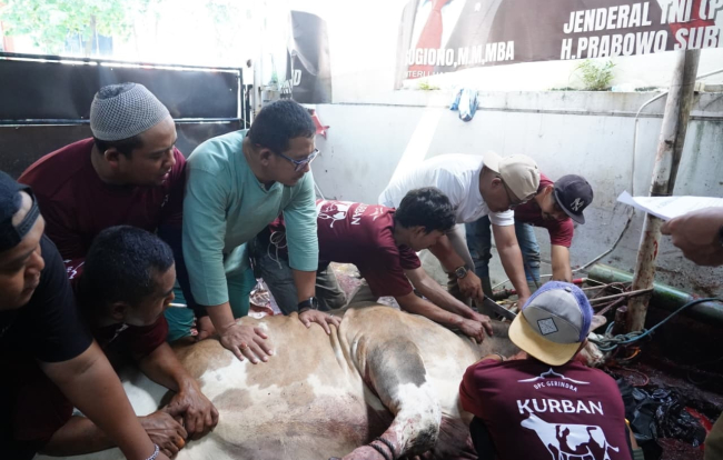 DPC Gerindra Kota Bandung Sembelih 7 Sapi dan 1 Domba di Idul Adha 1447 H